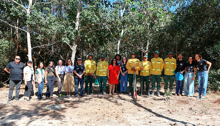 Projeto Raízes Kalungas: TJGO promove plantio de mudas nativas do Cerrado no Parque Municipal Lava Pés, em Cavalcante