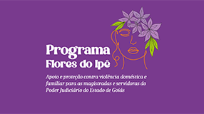 Detalhamento sobre o programa