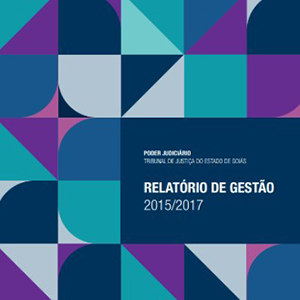 Relatório de Gestão 2015-2017